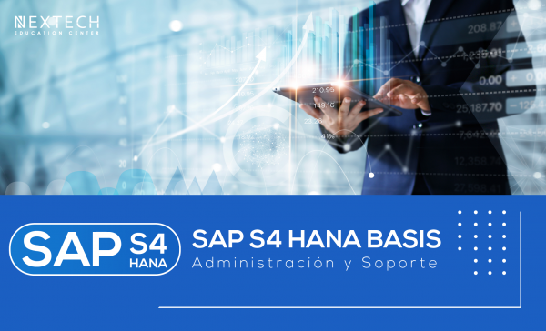 Curso SAP S/4HANA BASIS