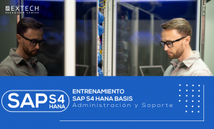 Entrenamiento SAP S4 HANA BASIS