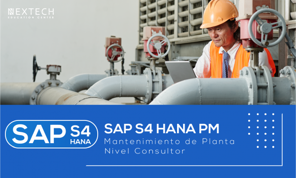 Curso SAP S/4HANA PM Nivel Consultor